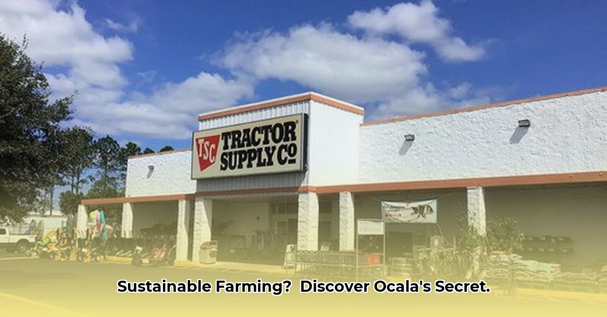 tractor-supply-ocala-fl-484